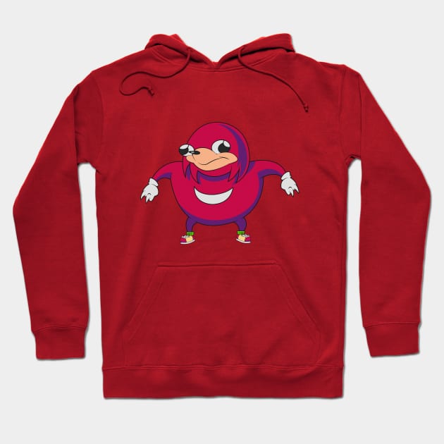 Do you know the wae Hoodie by Nidavellir